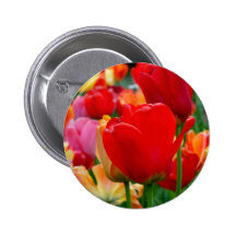 Tulip Rainbow Button