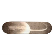 tulip skate board deck