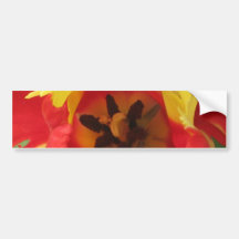 Tulip Story 1 Bumper Stickers