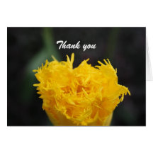 Tulip  Thank you Card