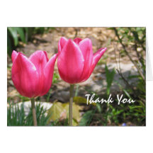 Tulip Thank You Card