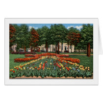 Tulip Time Holland, Michigan Greeting Cards