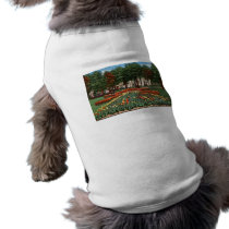 Tulip Time Holland, Michigan Pet T-shirt