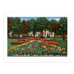 Tulip Time Holland, Michigan Post Cards