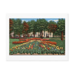 Tulip Time Holland, Michigan Post Cards