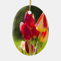 Tulip Uprising Christmas Ornaments
