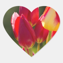 Tulip Uprising Heart Stickers