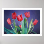 "Tulipa Familia" by Tom Norr Posters