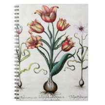 Tulipa Perfica non aperta, Tulipa Polyanthos Praco Spiral Note Book