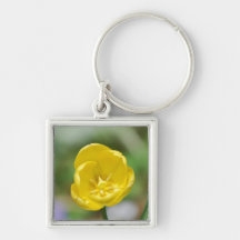 Tulipe assez jaune porte-clés
