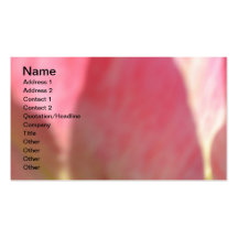 Tulipe de Lollypop Carte De Visite