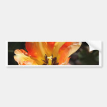 Tulipe orange adhésifs pour voiture