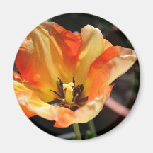 Tulipe orange aimant