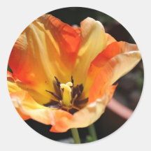 Tulipe orange autocollants