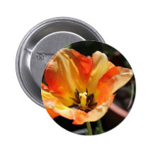 Tulipe orange badge avec épingle