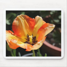 Tulipe orange tapis de souris
