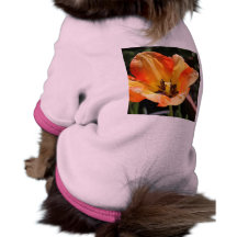 Tulipe orange vêtements pour animaux domestiques