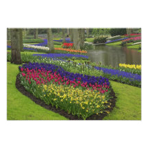 Tulipes, jacinthe de raisin, et jonquilles, art photographique