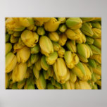 Tulipes jaunes d'affiche