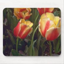 Tulipes jaunes rouges tapis de souris