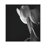 Tulipes noires et blanches impression sur toile