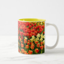 Tulipes vibrantes tasse à café