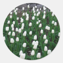 Tulips 10 Sticker