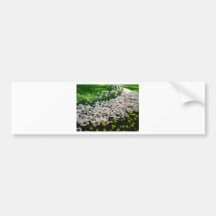 Tulips. #3 bumper stickers