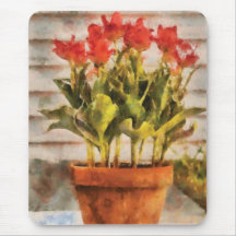 Tulips - A pot of Tulips Mouse Pads
