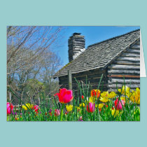 Tulips and Log Cabin (photog) cards