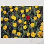 Tulips at Hampton Court, London, England Flyer Design