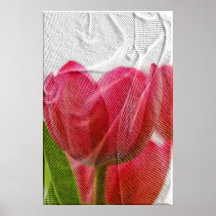 Tulips behind the curtain posterdrucke