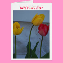 Tulips & Birthday Cake cards