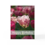 Tulips Birthday Card | Geburtstagskarte Tulpen