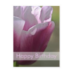 Tulips Birthday Postcard | Geburtstagskarte Tulpen