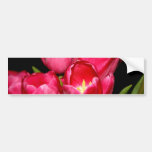 Tulips Bumper Sticker