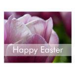 Tulips Easter Postcard | Osterpostkarte Tulpen