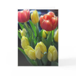 Tulips from Amsterdam Photo Greetings Card