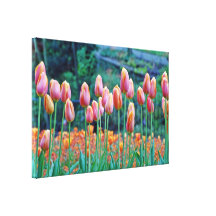 Tulips Gallery Wrapped Canvas