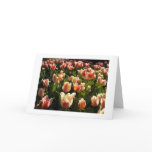 tulips galore card