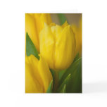 Tulips • Greeting Card