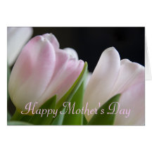 Tulips • Greeting Card