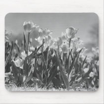 Tulips in bloom mousepads