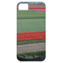 Tulips in Holland iPhone 5 Covers