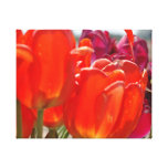 Tulips in line canvas prints