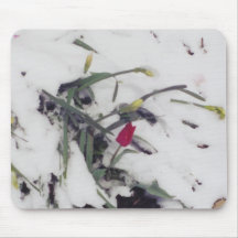 Tulips in Winter - mousepad