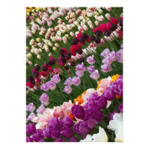 Tulips Invitation