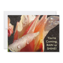 TULIPS iNVITATIONS Cards Coming Rain or Shine