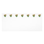 Tulips Just Opening Full Color Rack Card