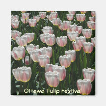 Tulips Magnets